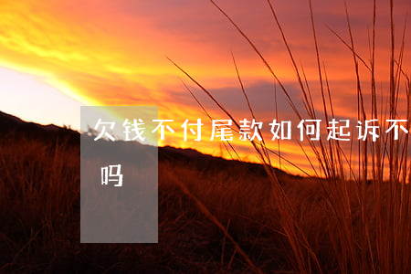 欠钱不付尾款如何起诉(不支付尾款官司好打吗)