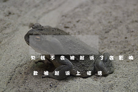 欠钱不会被起诉了会影响征信吗(如果因为欠款被起诉上征信)