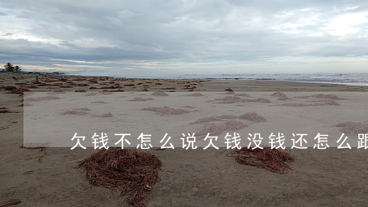 欠钱不怎么说(欠钱没钱还怎么跟人家说)