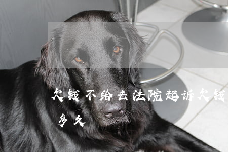 欠钱不给去法院起诉(欠钱不给去法院起诉要多久)