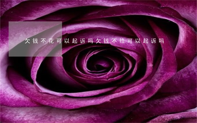 欠钱不花可以起诉吗(欠钱不给可以起诉吗?)