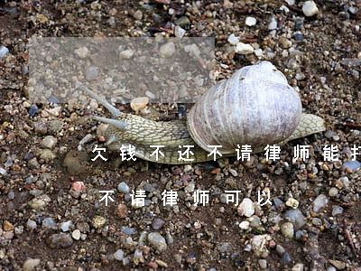 欠钱不还不请律师能打官司吗（借钱不还起诉不请律师可以）