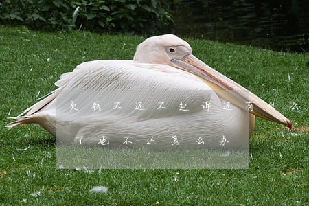 欠钱不还不起诉还有什么办法(欠钱不还起诉了也不还怎么办)