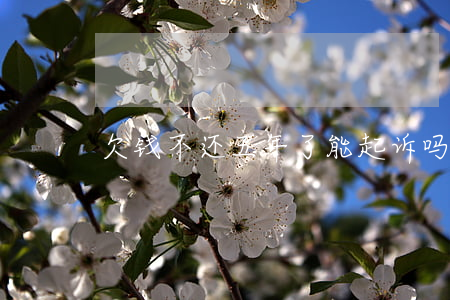 欠钱不还五年了能起诉吗