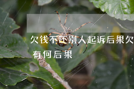 欠钱不还别人起诉后果(欠别人钱不还被起诉有何后果)