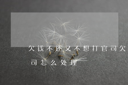 欠钱不还又不想打官司(欠钱不还又不想打官司怎么处理)