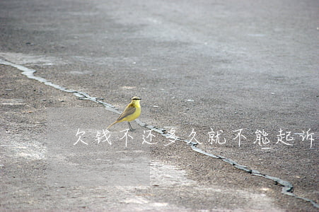欠钱不还多久就不能起诉了（欠钱多久不起诉）