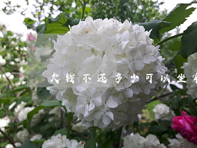 欠钱不还多少可以坐牢(欠钱不还会坐牢吗)