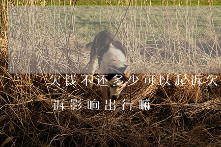 欠钱不还多少可以起诉(欠钱不还多少可以起诉影响出行嘛)