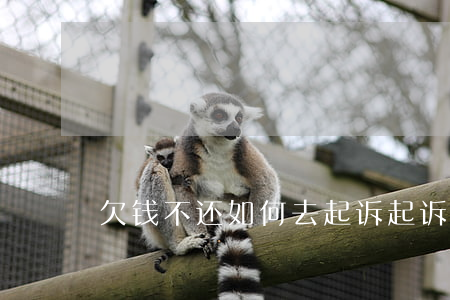 欠钱不还如何去起诉(起诉欠钱不还怎么办)