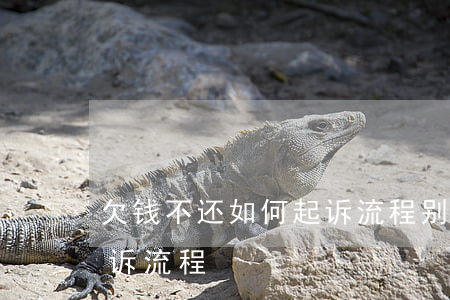 欠钱不还如何起诉流程,别人借钱不还怎么起诉流程 欠钱不还如何起诉流程,别人借钱不还怎么起诉流程