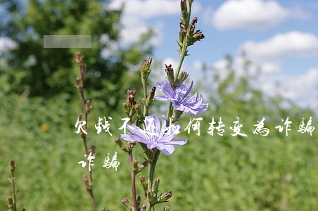 欠钱不还如何转变为诈骗(欠钱不还怎么构成诈骗)