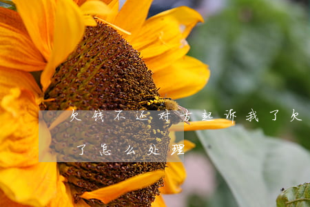 欠钱不还对方起诉我了 欠钱不还对方起诉我了怎么处理