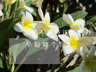 欠钱不还应该怎么办-欠钱不还应该怎么办举报哪个部门