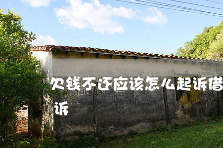 欠钱不还应该怎么起诉(借钱不还的人怎么起诉)
