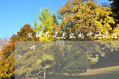 欠钱不还怎么起诉网络借款(网络借款 如何起诉)