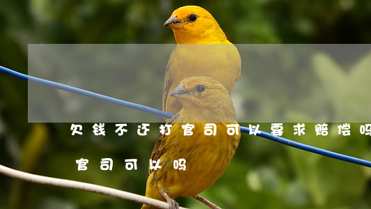 欠钱不还打官司可以要求赔偿吗（欠钱不还打官司可以吗）