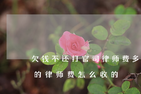欠钱不还打官司律师费多少钱(打官司要欠款的律师费怎么收的)