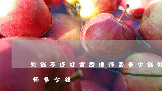 欠钱不还打官司律师费多少钱(欠钱不还请律师多少钱)