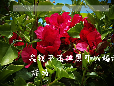 欠钱不还拉黑可以起诉(欠钱不还拉黑可以起诉吗)