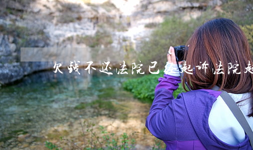 欠钱不还法院已经起诉(法院起诉了也不还钱)