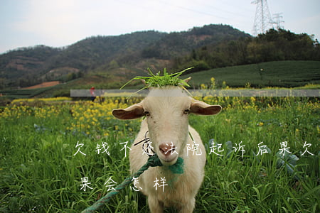 欠钱不还法院起诉后果 欠钱不还法院起诉后果会怎样