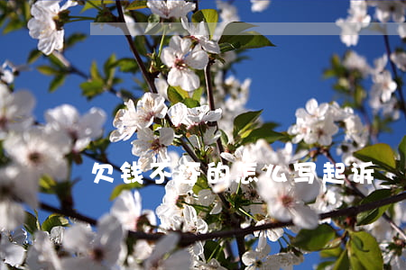 欠钱不还的怎么写起诉