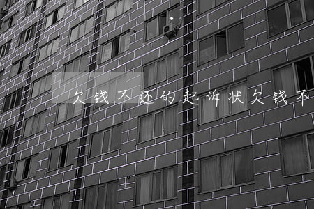 欠钱不还的起诉状（欠钱不还立案起诉状）