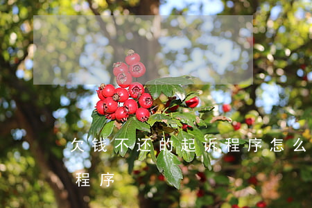 欠钱不还的起诉程序怎么写（欠钱不还的起诉程序）