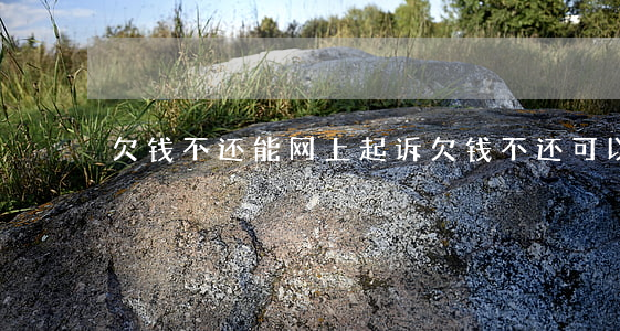 欠钱不还能网上起诉(欠钱不还可以在网上)