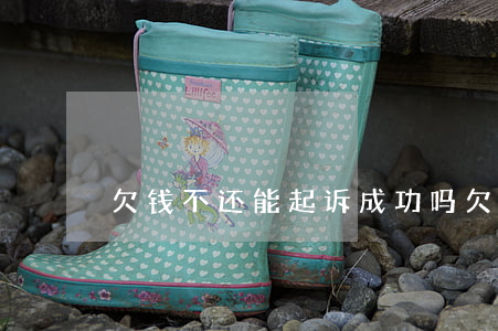 欠钱不还能起诉成功吗(欠钱不还能起诉么)