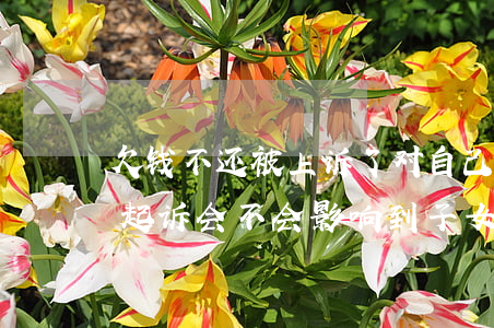 欠钱不还被上诉了对自己的影响(欠钱不还被起诉会不会影响到子女)