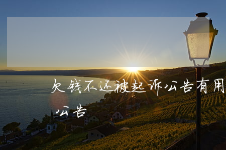 欠钱不还被起诉公告有用吗（欠钱不还被起诉公告）