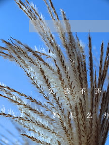 欠钱不还被起诉后爸妈(欠钱不还被起诉后爸妈怎么办)
