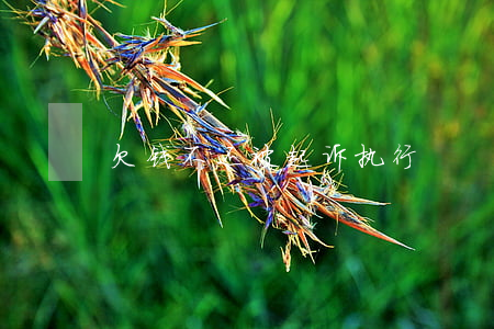 欠钱不还被起诉执行