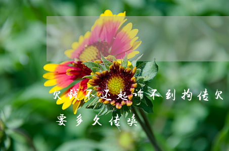欠钱不还起诉不到拘传(欠钱不还起诉以后需要多久传唤)
