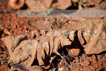 欠钱不还起诉也没钱怎么办（欠钱不还起诉了说没钱）