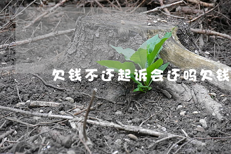 欠钱不还起诉会还吗(欠钱不还起诉会赢吗)
