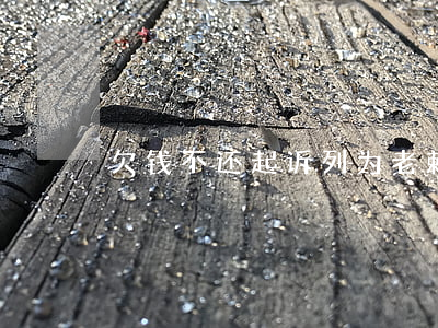 欠钱不还起诉列为老赖(起诉了老赖也不还钱)