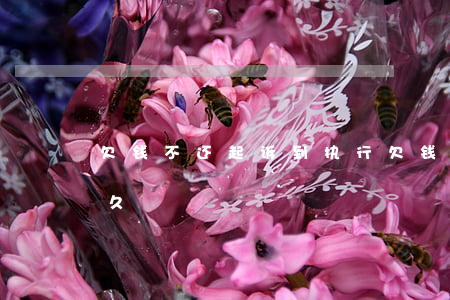 欠钱不还起诉到执行(欠钱不还起诉到执行多久)
