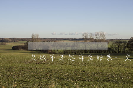 欠钱不还起诉后结果-欠钱不还起诉后结果