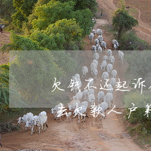 欠钱不还起诉在对方居住地吗(起诉欠钱不还去欠款人户籍所在地吗)