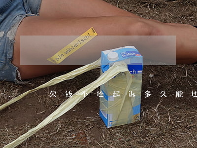 欠钱不还起诉多久能还