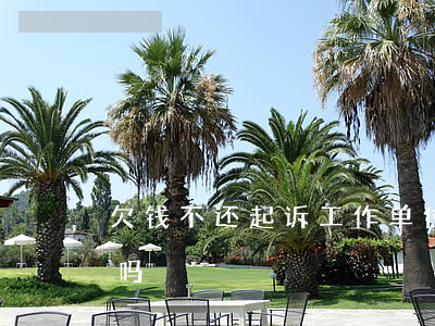 欠钱不还起诉工作单位(欠钱不还去单位有用吗)