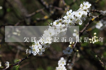 欠钱不还起诉年限是几年（欠钱不还起诉几年有效）