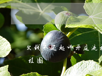 欠钱不还起诉开庭流程(欠钱不还起诉开庭流程图)