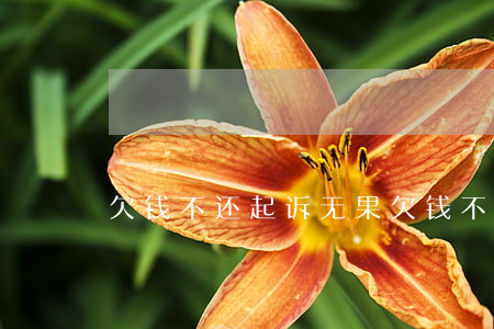 欠钱不还起诉无果（欠钱不还起诉一直狡辩）