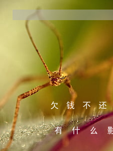 欠钱不还起诉有屁用-欠钱不还起诉后对他有什么影响