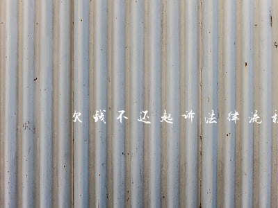 欠钱不还起诉法律流程详解及步骤图