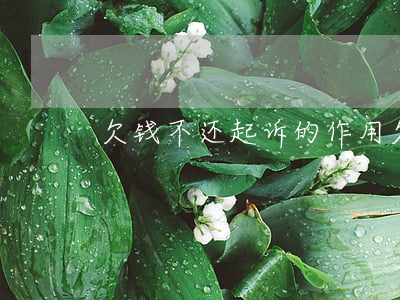 欠钱不还起诉的作用(欠款不还起诉有用吗)